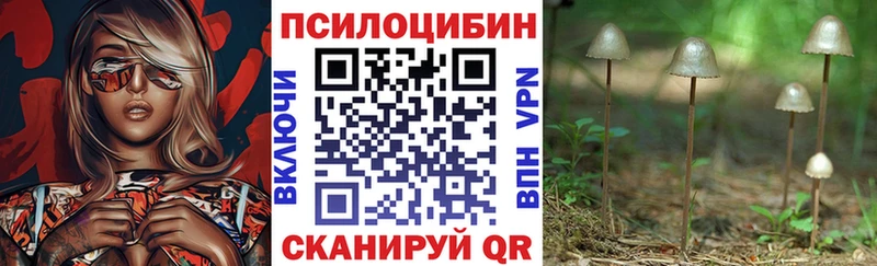 Галлюциногенные грибы прущие грибы  Купить  Правдинск 